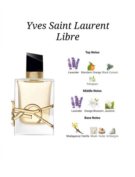 ysl y note|ysl y edp top notes.